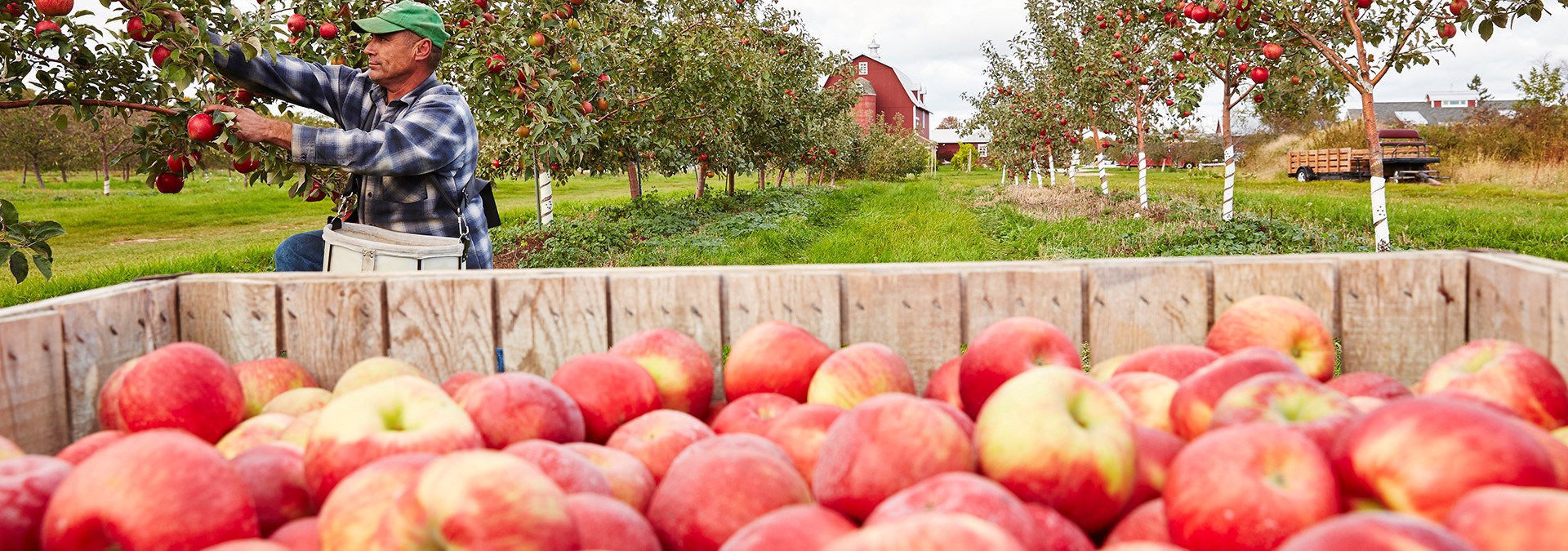 Cider Season in Door County
