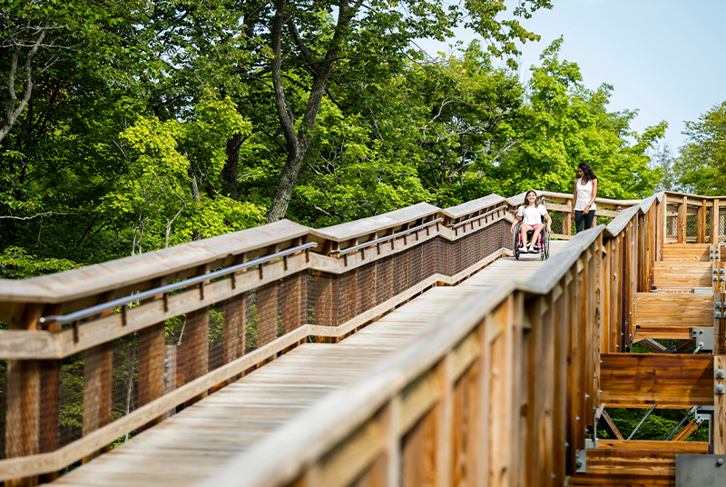 Barrier Free Travel Peninsula State Park's ramp to Eagle Tower.