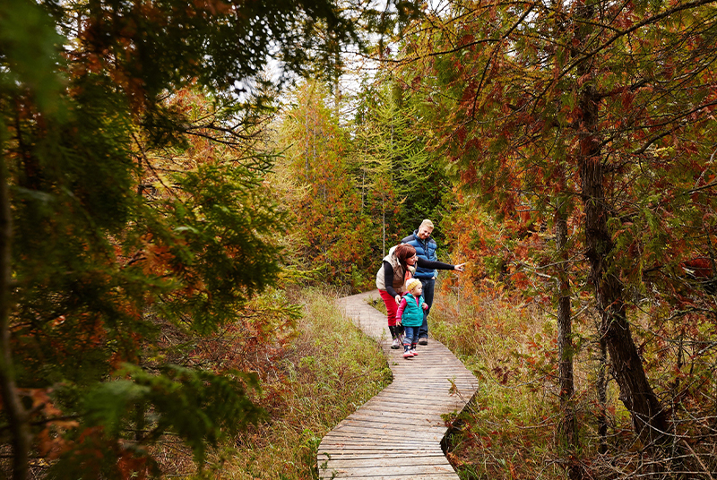Barrier Free Travel A family hikes on a fall day at The Ridges Sanctuary.