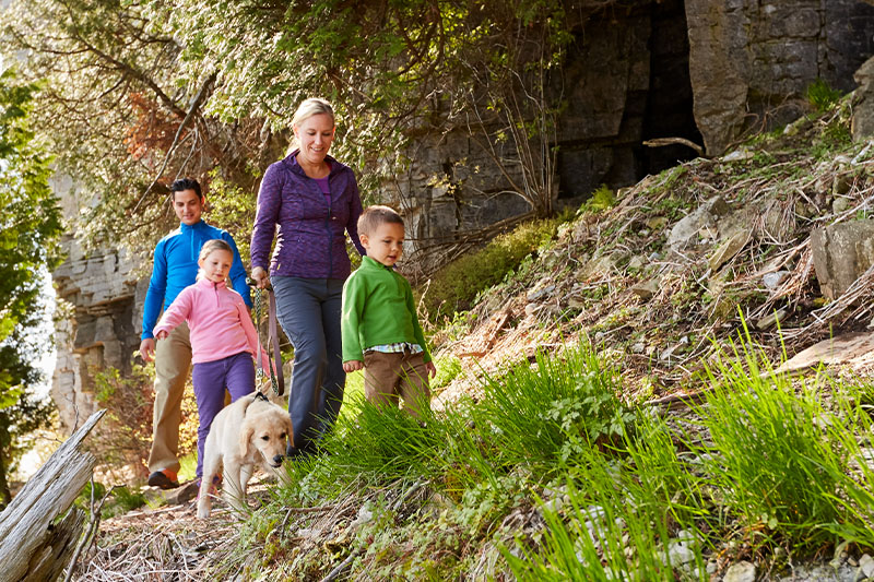 Hit the Trail: Hikes for all Abilities and Interests Hit the Trail: Hikes for all Abilities and Interests