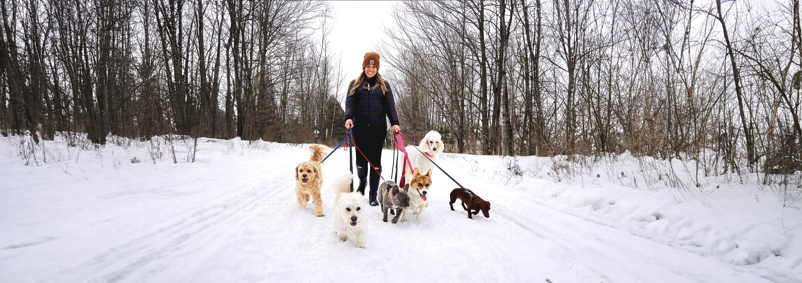 Pet-Friendly Door County