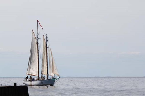 Sailboat Tour