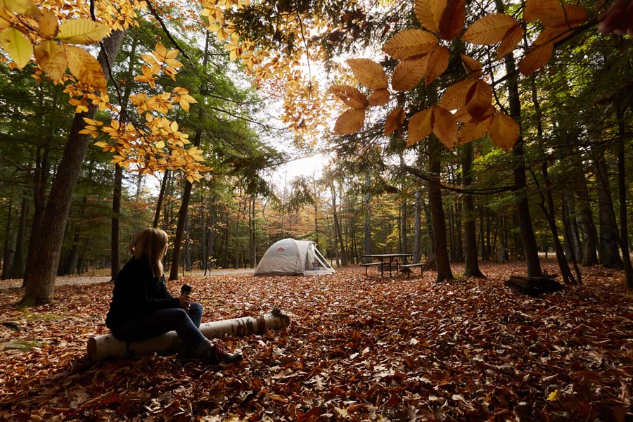 What’s Your Camping Style? What’s Your Camping Style?