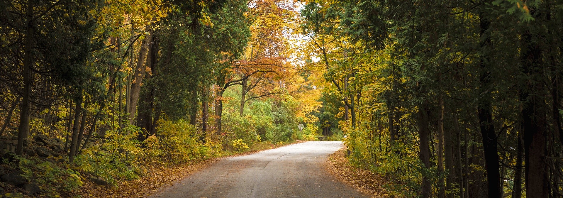 Best Fall Color Drives, Hikes, & Rides Best Fall Color Drives, Hikes, & Rides