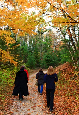 Best Fall Color Drives, Hikes, & Rides Woodsy Hikes