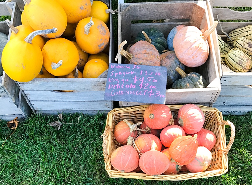 Where to Get Farm Fresh Foods this Season Fresh vegetables and gourds in rustic bins at a farmers market.