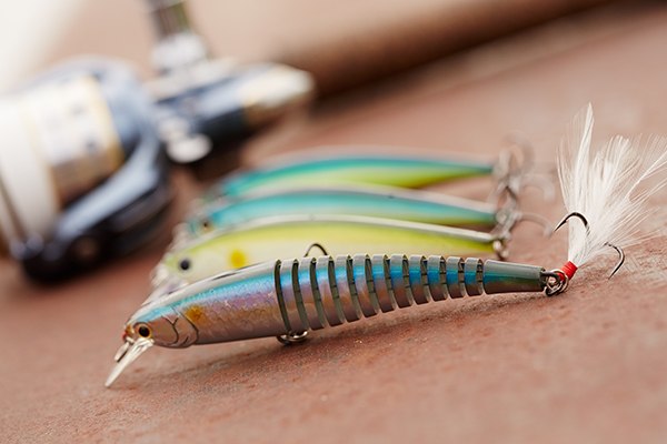 The Door County Fishing Guide The Door County Fishing Guide