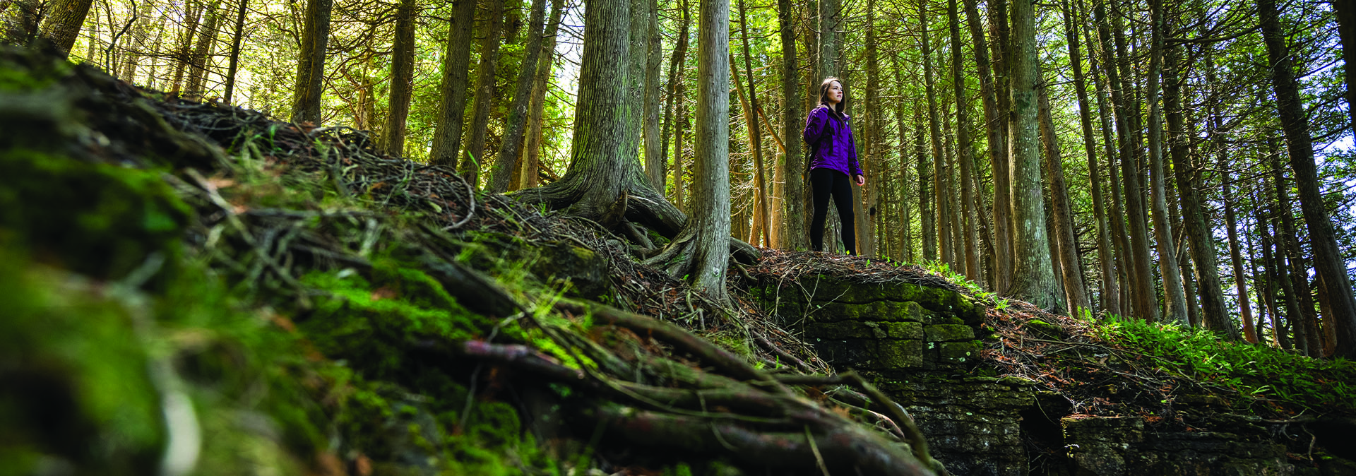 Hit the Trail: Hikes for all Abilities and Interests Hit the Trail: Hikes for all Abilities and Interests