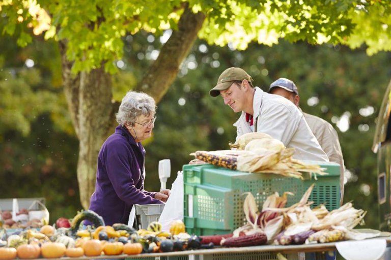 Farmers Markets