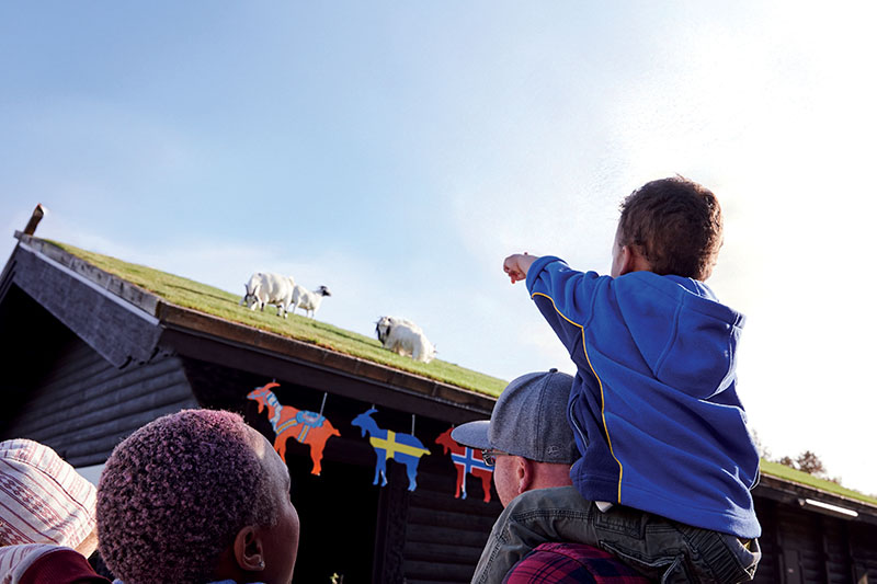 A Kid's Guide to Fun in Door County