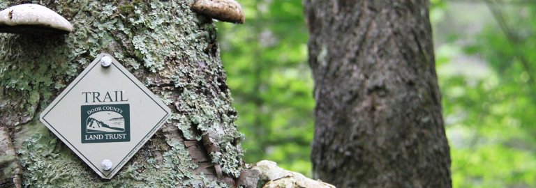 Newsletter Archive
