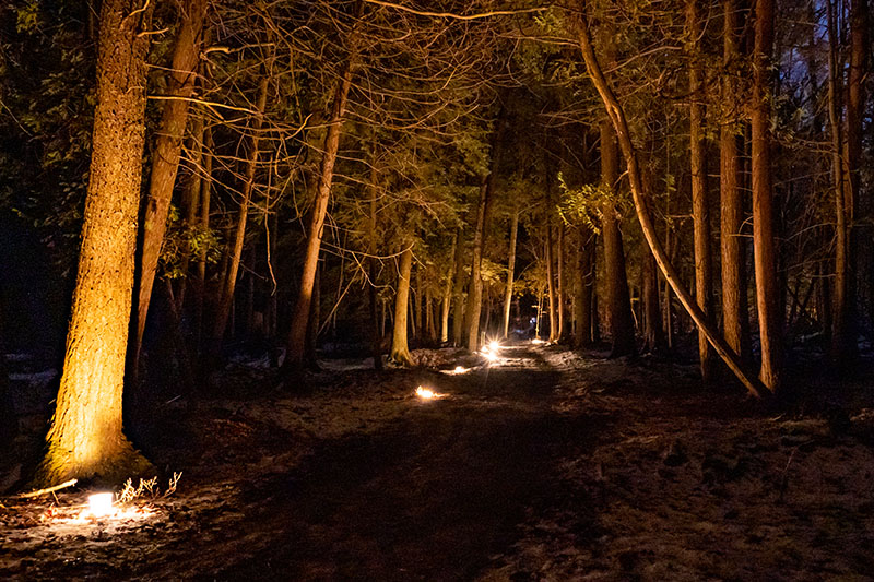 Explore Door County by Candlelight This Winter Candlelight Ski at Newport State Park