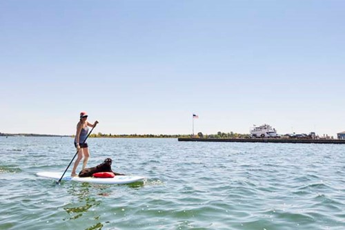 Bringing Your Dog to Door County A woman standup paddle boards with her dog aboard.