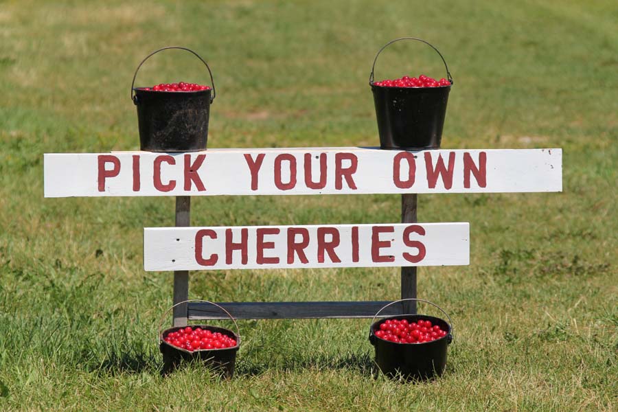 11 Places to Experience Cherries in Door County