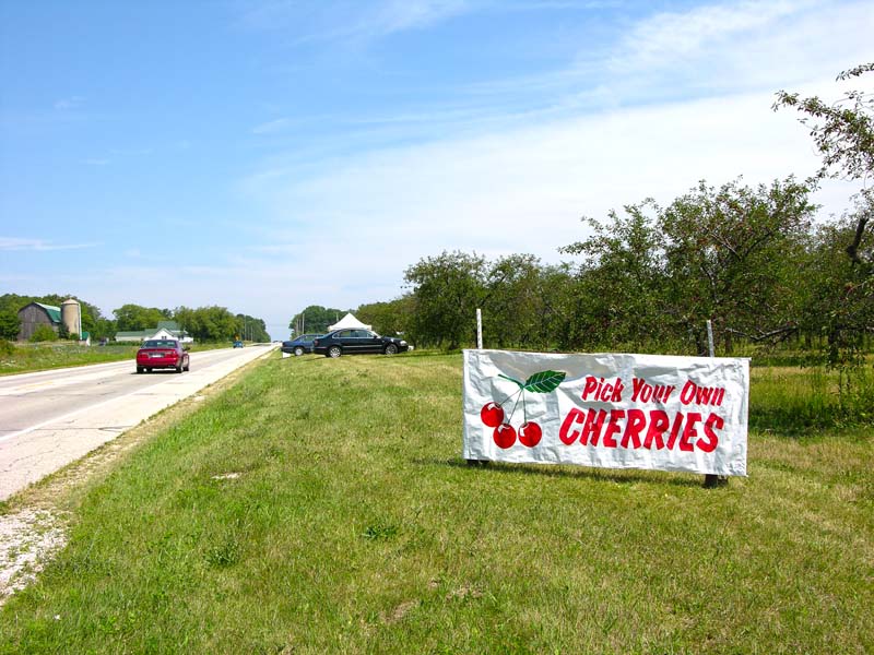 The History of Cherry-Picking in Door County The History of Cherry-Picking in Door County