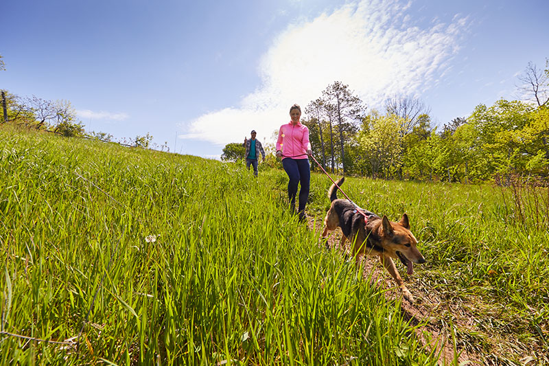 Happy Camping: Things to Do Outdoors Happy Camping: Things to Do Outdoors