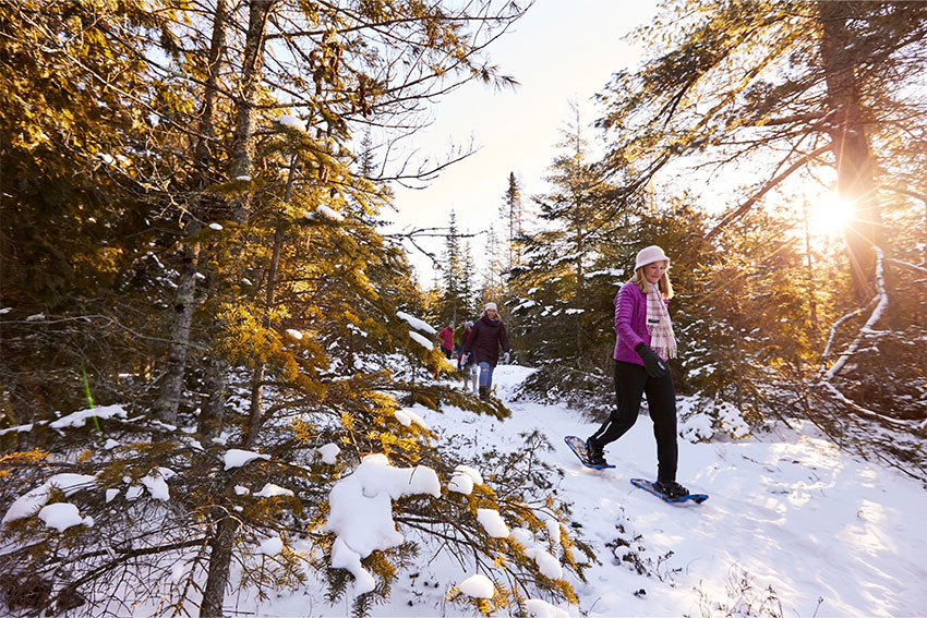 Ridges Sanctuary, Baileys Harbor