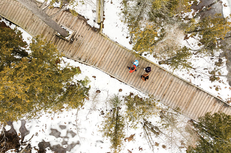 It’s a Sign: Your Zodiac Winter Playbook to Door County The Ridges Sanctuary