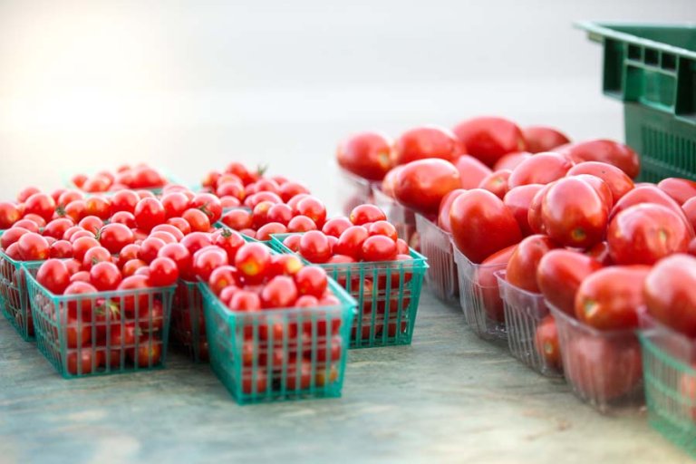 Farmers Markets