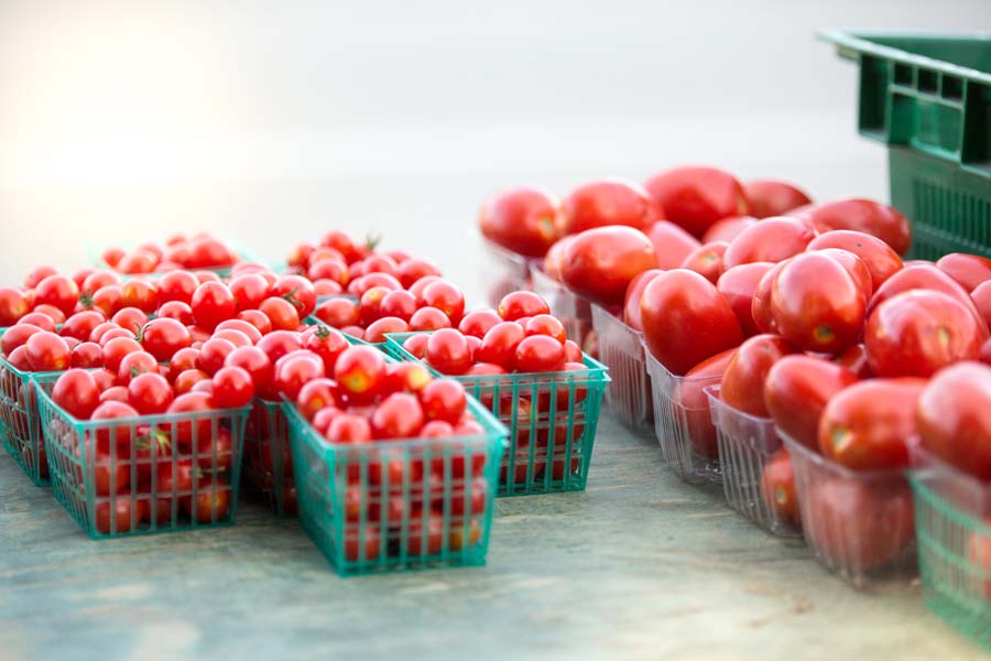 Farmers Markets & Farm Markets of Door County Farmers Markets & Farm Markets of Door County