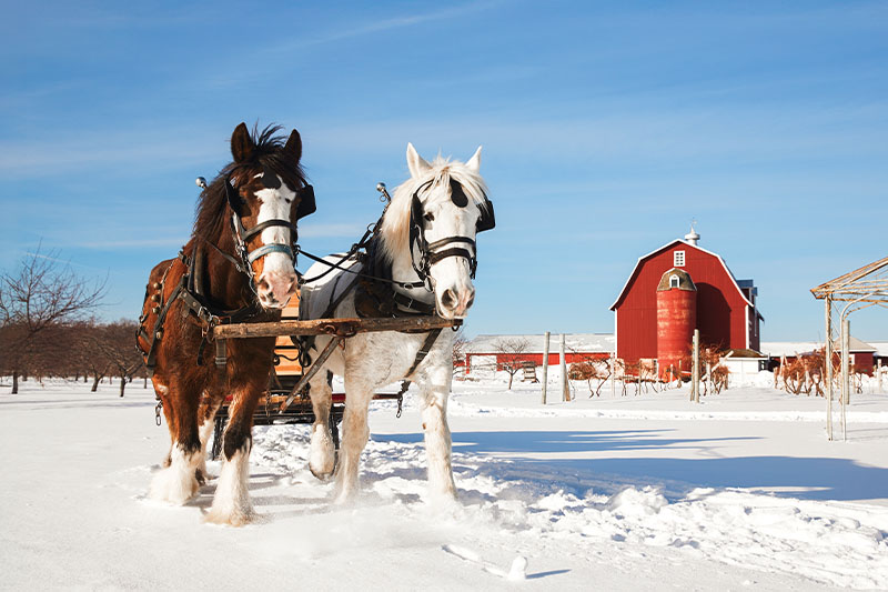 It’s a Sign: Your Zodiac Winter Playbook to Door County Mayberry