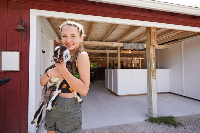 A Kid's Guide to Fun in Door County