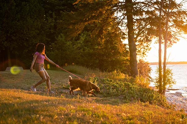 Traveling with Dogs to Door County