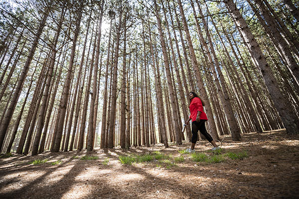 Whitefish Dunes State Park