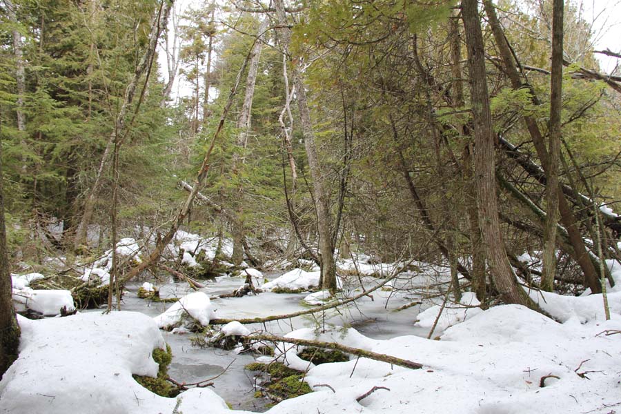 5 Secrets of the Slower Season
