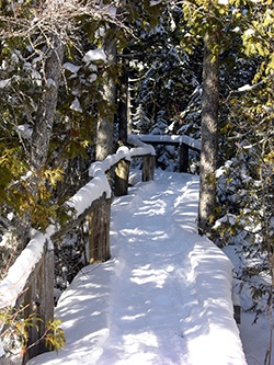 4 Ways to Savor Winter in Door County 1. Layer Up & Hike Out