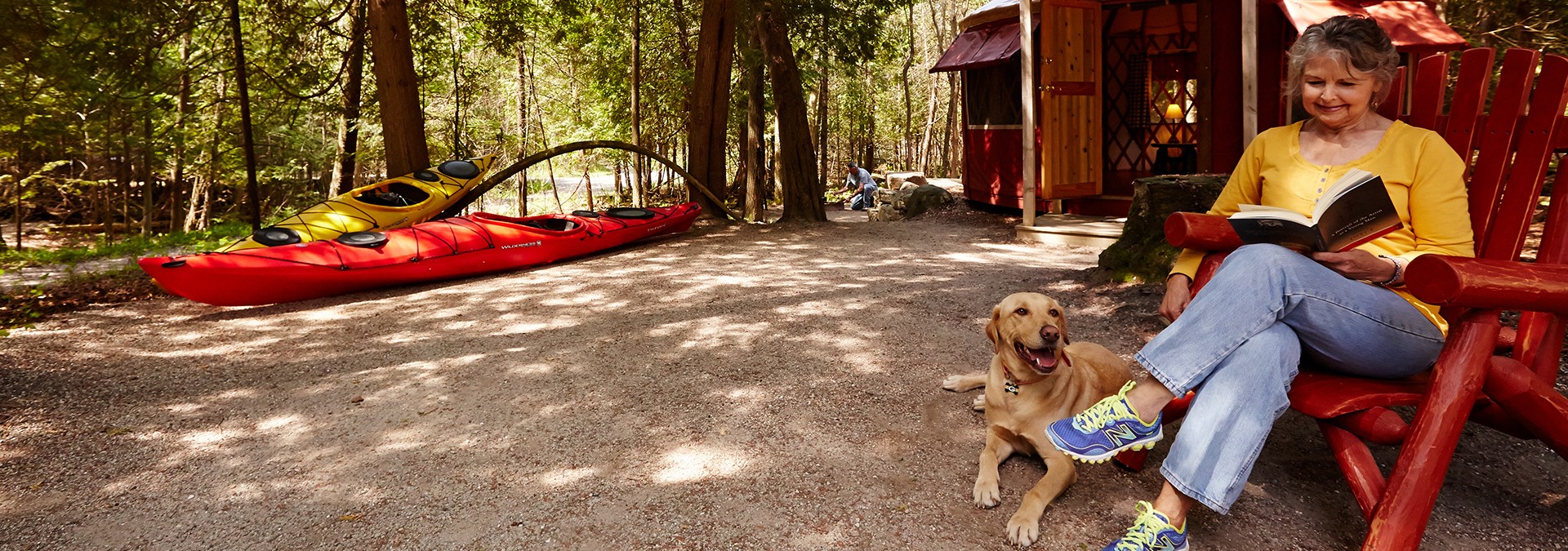 Bringing Your Dog to Door County Bringing Your Dog to Door County