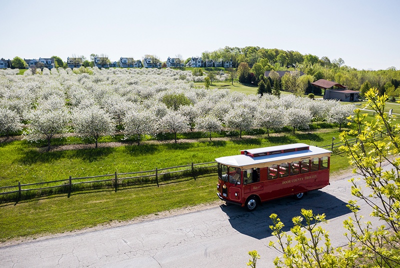 Cherry Orchards