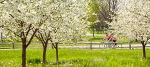 Sample Door County gift certificate