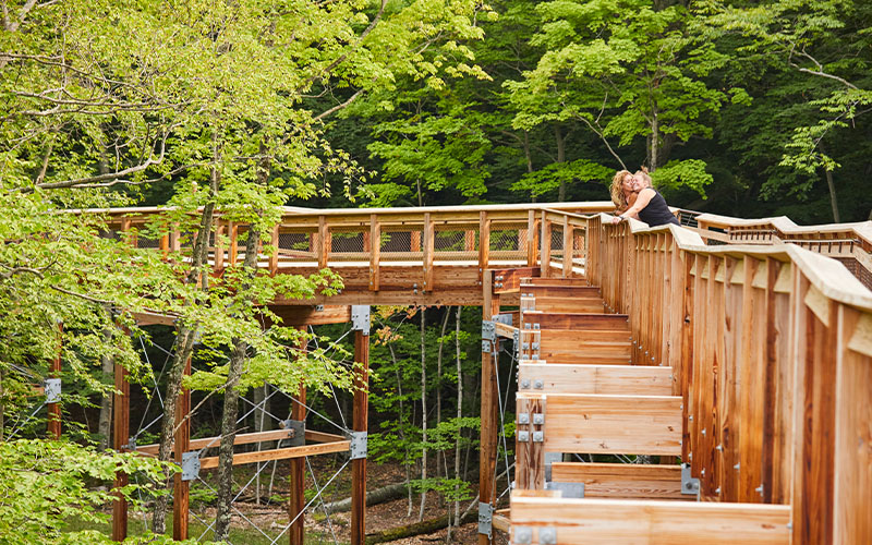 Diversity, Equity, and Inclusion in Door County Diverse visitors enjoying Door County