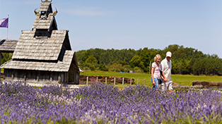 Community Visitor Centers Washington Island lavender field