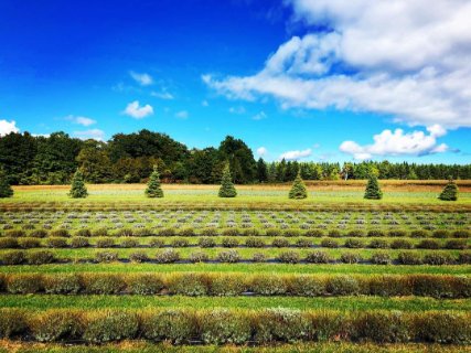 Relaxation & Wellness Escapes