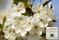 Awaken the Senses with a Spring Renewal in Door County Awaken the Senses with a Spring Renewal in Door County