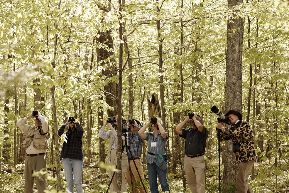 Birding & Bird Watching A group of bird watchers using binoculars to look up into the trees.
