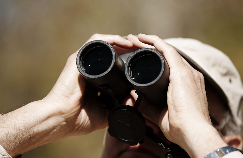 Birding & Bird Watching A bird watcher looking through binoculars.