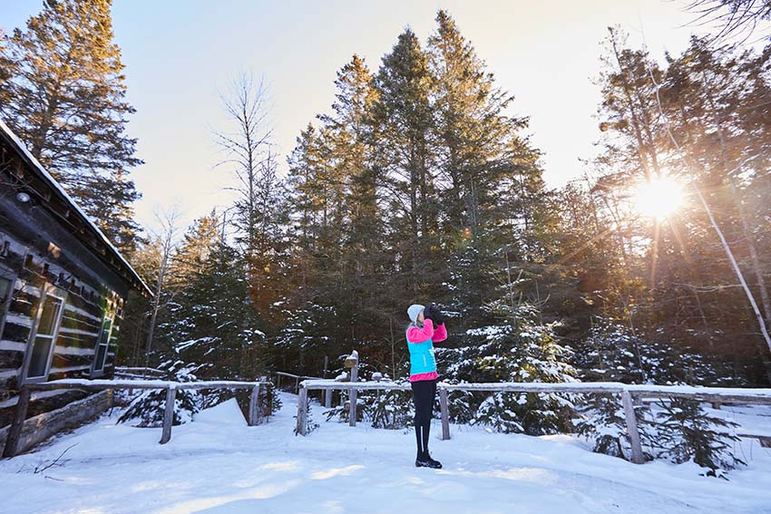 Birding & Bird Watching A person standing in the snow near evergreen trees looking through binoculars