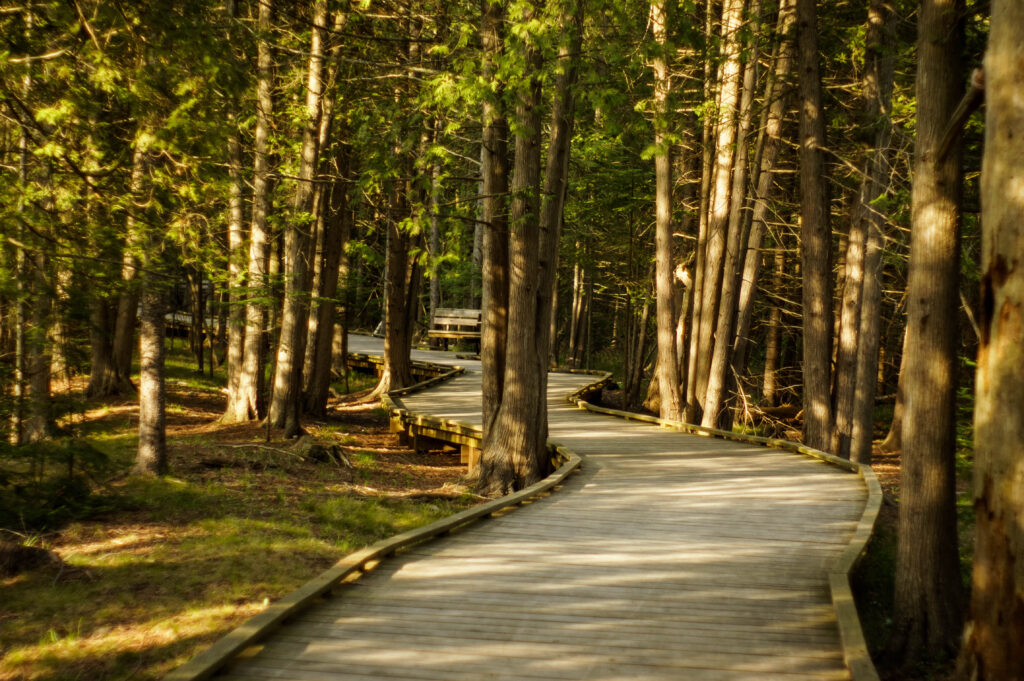 The Ridges Sanctuary
