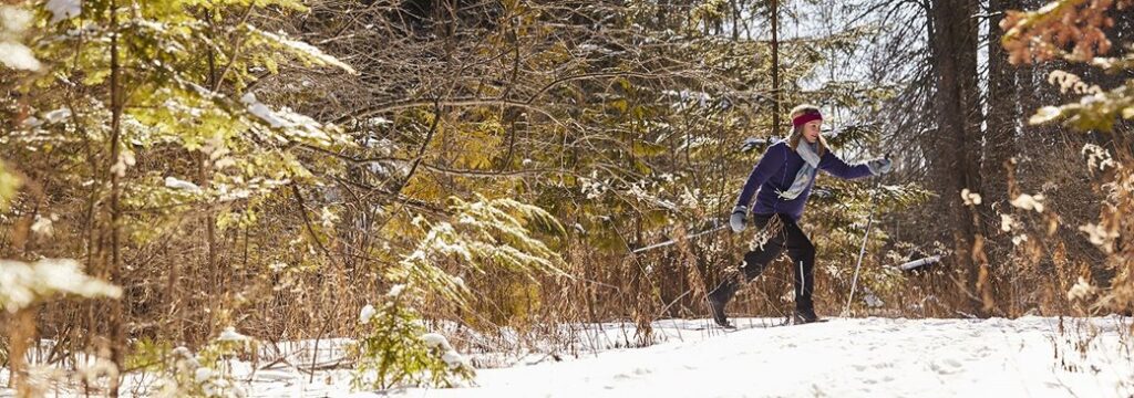 Cross Country Skiing