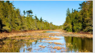Nature Preserves & Conservation The Ridges Sanctuary