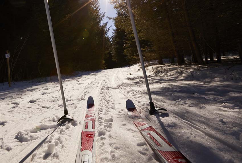 Cross Country Skiing Cross Country Skiing