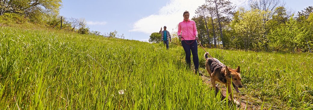 Dog Parks in Door County