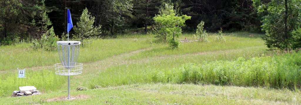 Disc Golf Disc Golf