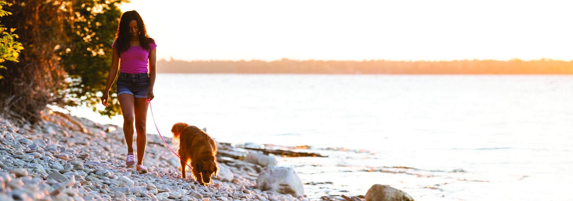 Dog-Friendly Weekend Dog-Friendly Weekend