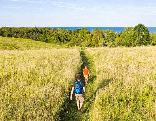 Eco-Friendly Travel