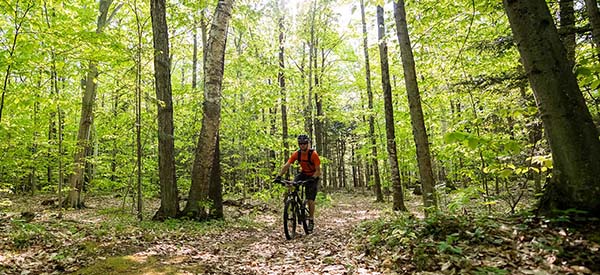 A person biking on a wooded trail.