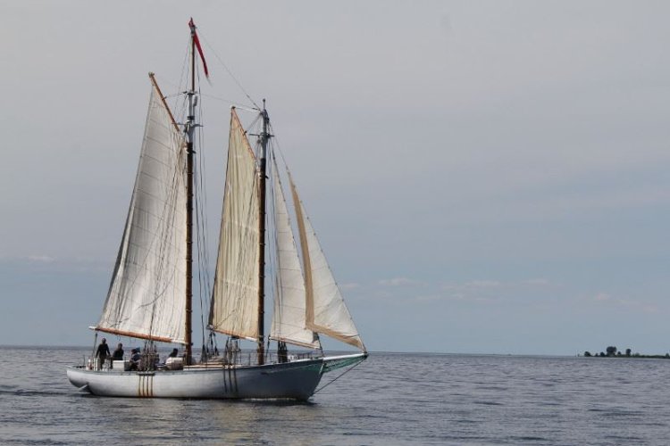 Boating, Sailing, & Paddling A large sailboat out on the lake.